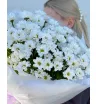 Букет белых хризантем-ромашек 1
