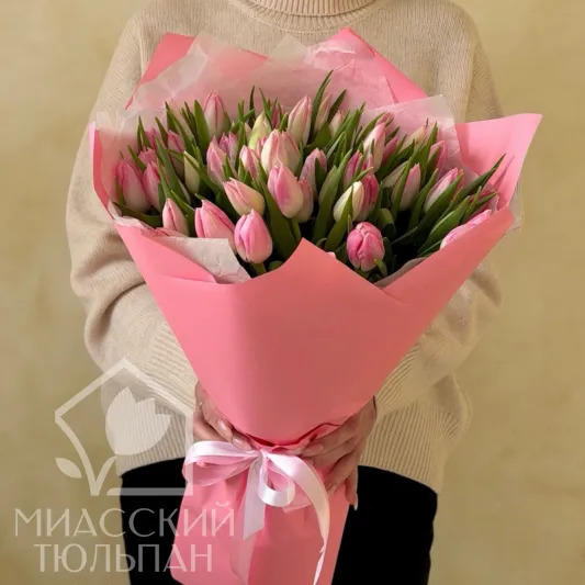 51 нежный тюльпан