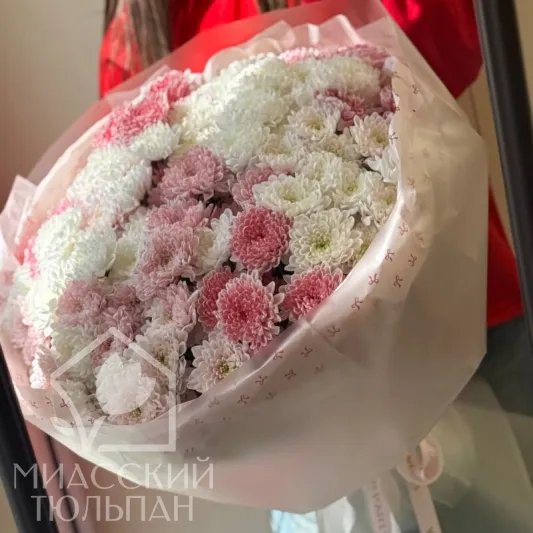 Розовое облако хризантем