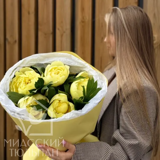 Солнечные пионы