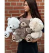 Медведь плюшевый 🐻