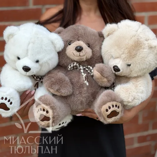 Медведь плюшевый 🐻
