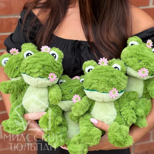 Лягушонок 🐸