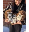 Ёжик🦔