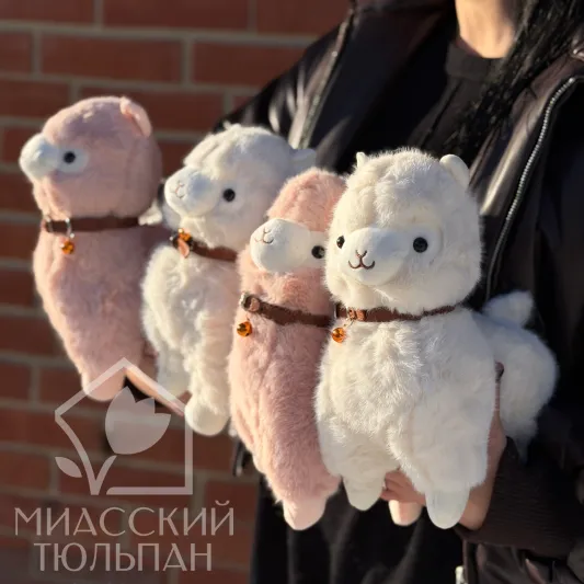 Лама с кожаным ремешком и бубенчиком 🥹