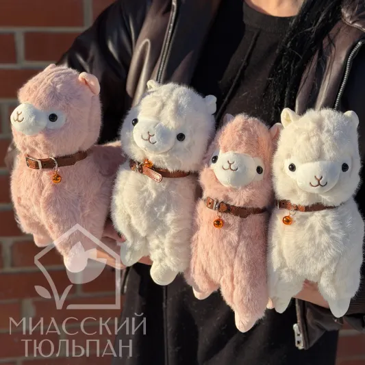 Лама с кожаным ремешком и бубенчиком 🥹
