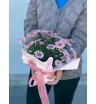 Аргирантемум Горшечный