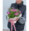 Петуния горшечная