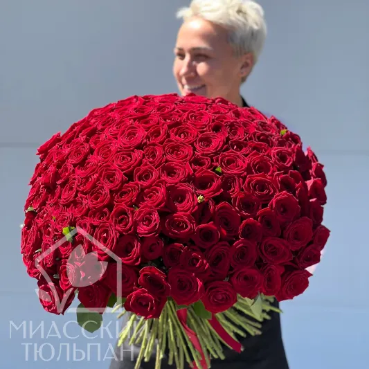 WOW букет 151 роза