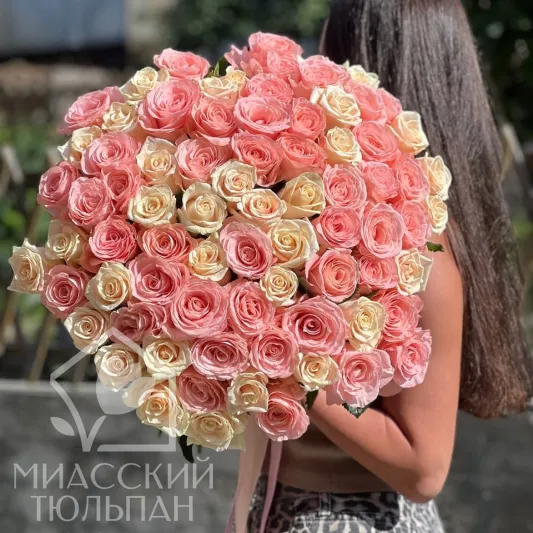 51 роза сорта Talea и Saida