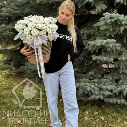 Ромашки в кашпо