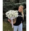 Ромашки в кашпо