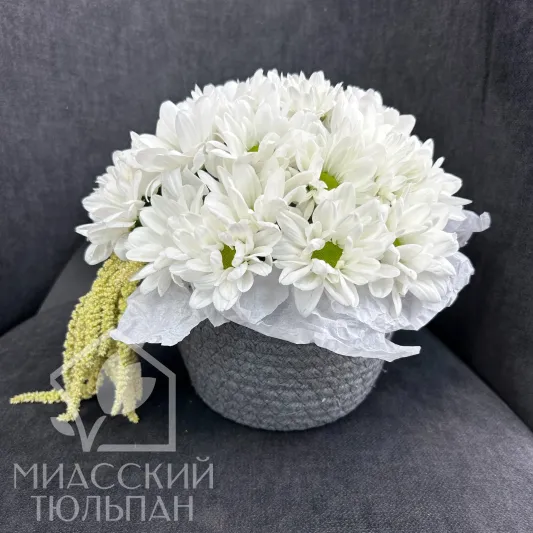 Кашпо с ромашками