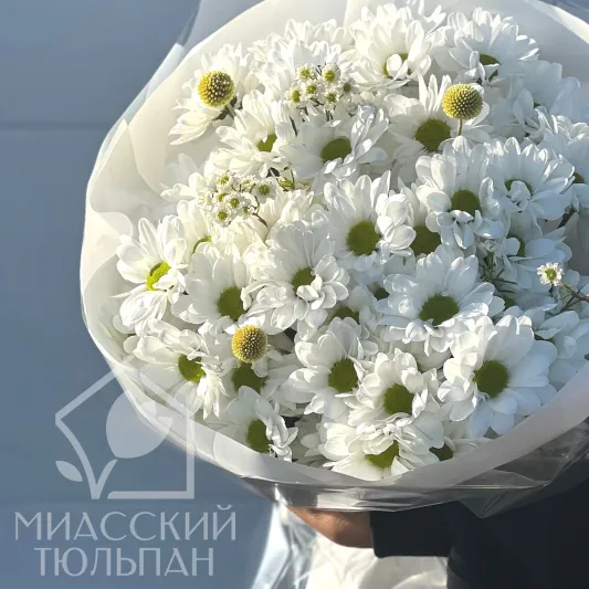 Букет из  ромашек и хамелациума