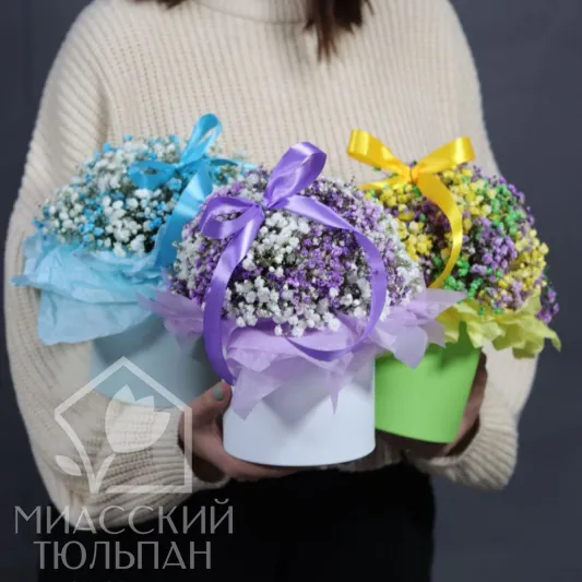Гипсофила в коробке &laquo;Комплимент&raquo;