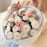 Поводы