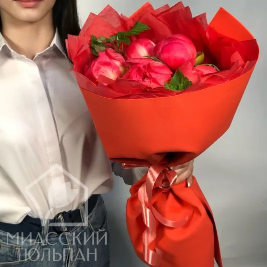 Пионы Coral