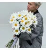 Букет ромашек 2