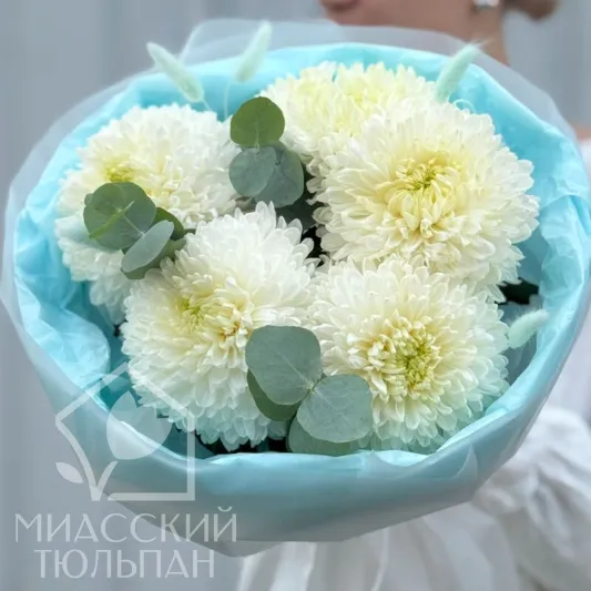 Букет одноголовых хризантем 
