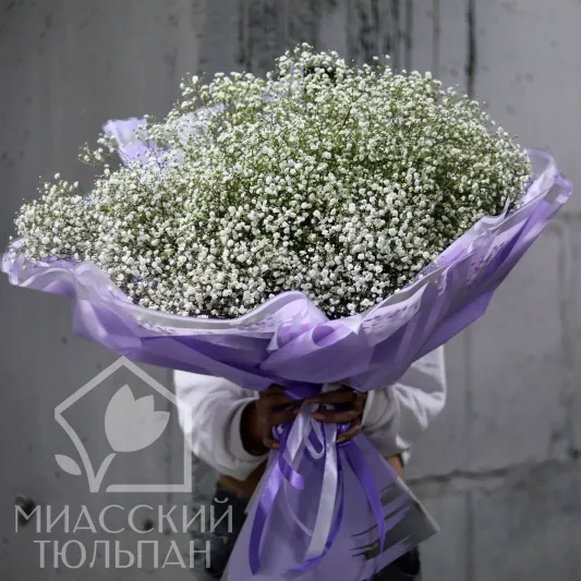 Облако жемчужной гипсофилы
