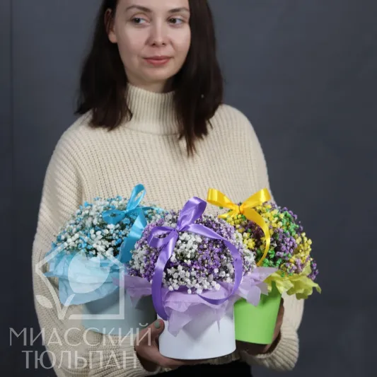 Композиция из гипсофилы