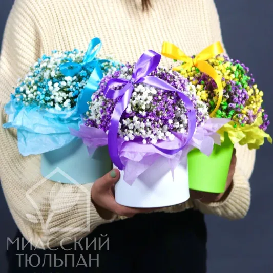 Композиция из гипсофилы