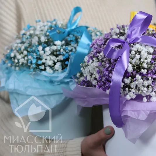Композиция из гипсофилы