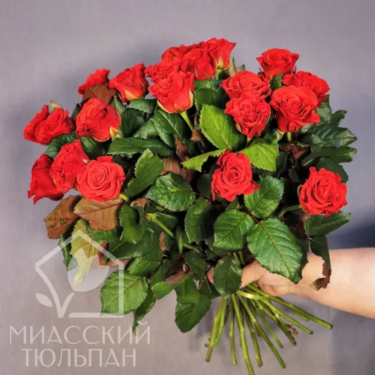 Букет из 51 красной розы