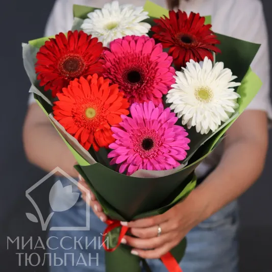 Букет из 7 гербер микс