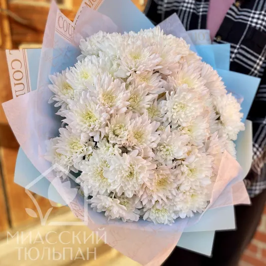 Букет пушистых хризантем