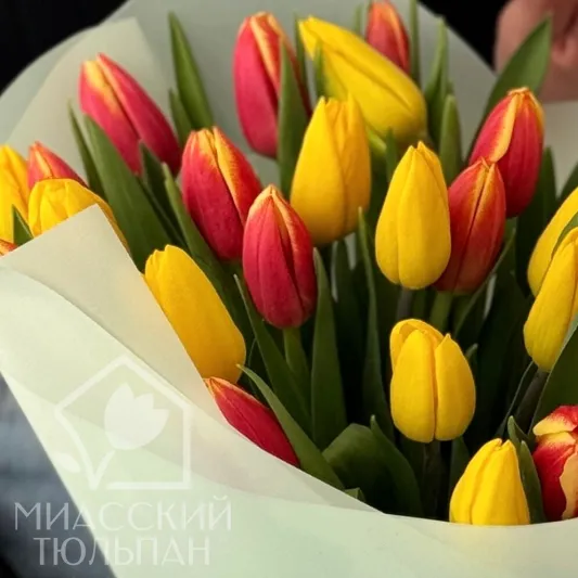 Букет ярких тюльпанов